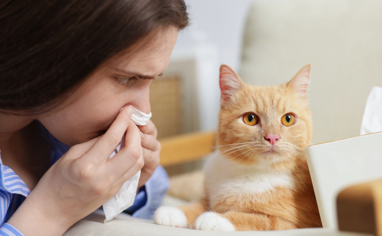 Bad breath causes in pets: Dog and Cat Halitosis Explained